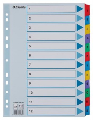 Register, kartón, A4, 1-12, ESSELTE "Mylar"